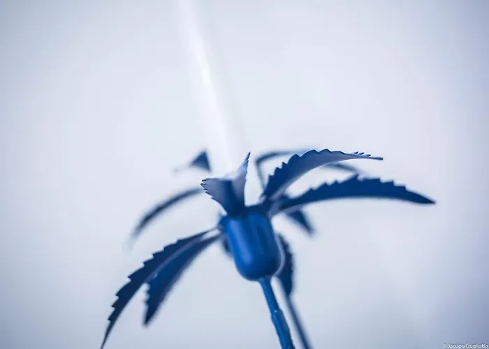 Toffee Gioberti - Seven Appartamento *